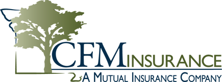 CFM Insurance Logo 2