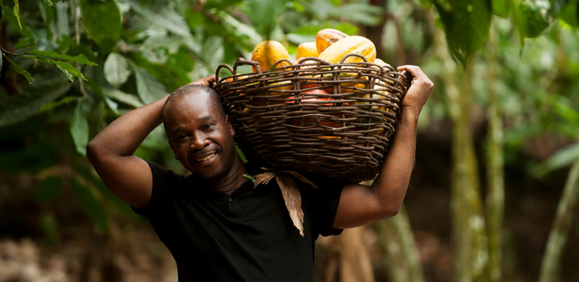 Can a Mobile App Help Eradicate Poverty in the Cocoa Supply Chain? Can a Mobile App Help Eradicate Poverty in the Cocoa Supply Chain?