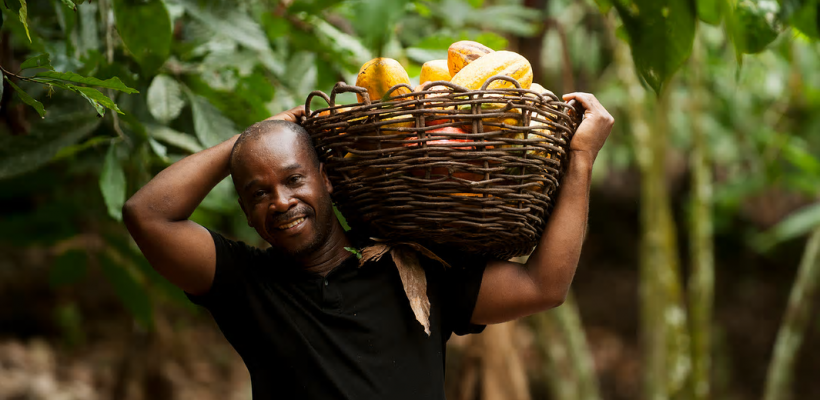 Can a Mobile App Help Eradicate Poverty in the Cocoa Supply Chain?